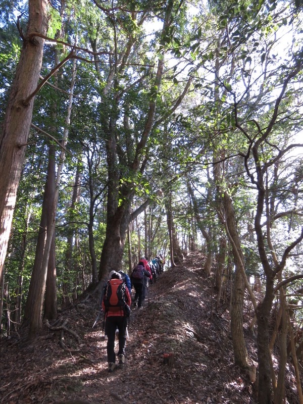 高宕山、高宕山→奥畑バス停