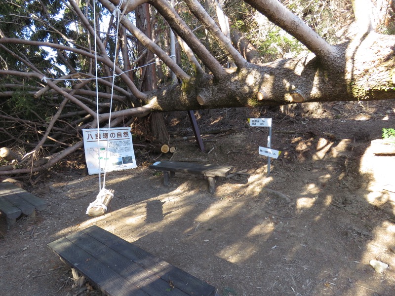 高宕山、高宕山→奥畑バス停、ふれあいの道分岐(八良塚コース終点)