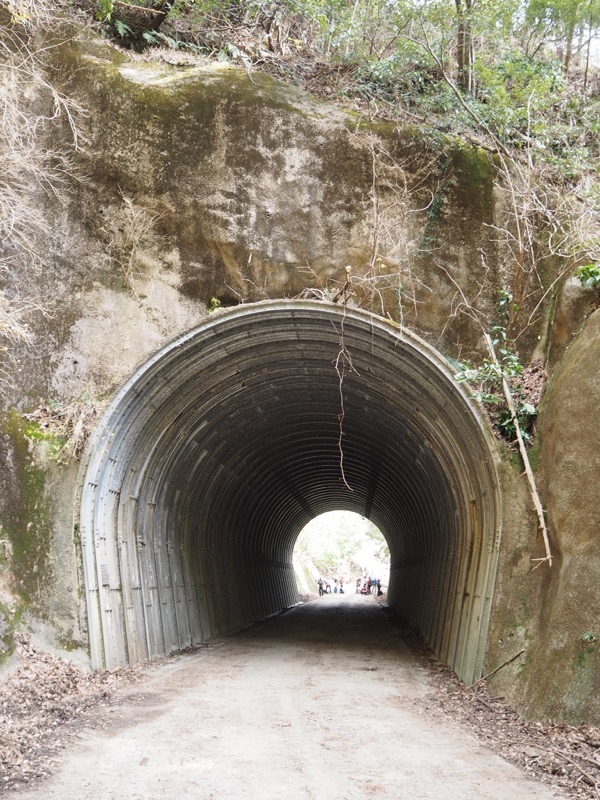 高宕山、三島神社→高宕山、怒田沢林道、高宕林道、怒田沢トンネル