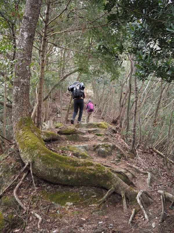 高宕山、高宕大滝→高宕山