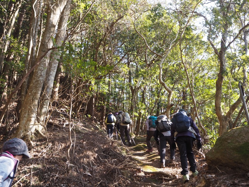 高宕山、高宕山→奥畑バス停