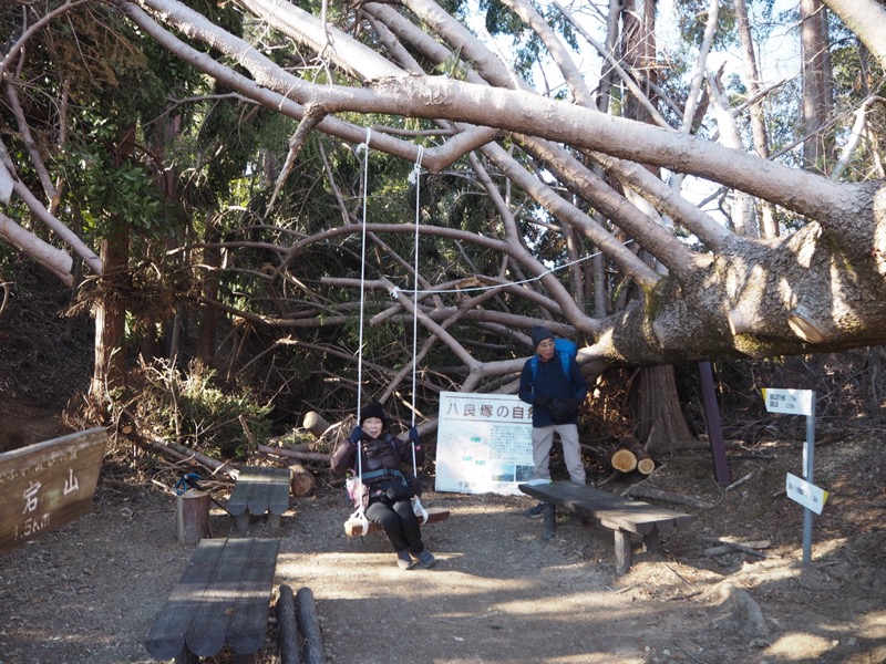 高宕山、高宕山→奥畑バス停、ふれあいの道分岐(八良塚コース終点)