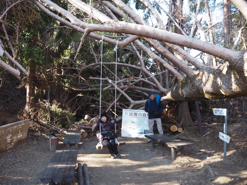 高宕山、高宕山→奥畑バス停、ふれあいの道分岐（八良塚コース終点）