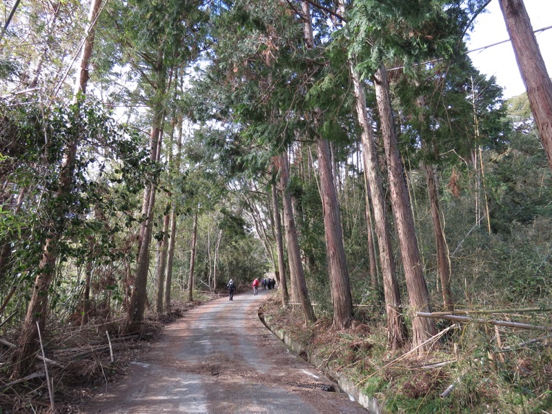 高宕山、三島神社→高宕山、怒田沢林道、高宕林道