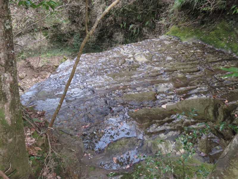 高宕山、三島神社→高宕山、高宕林道、高宕大滝