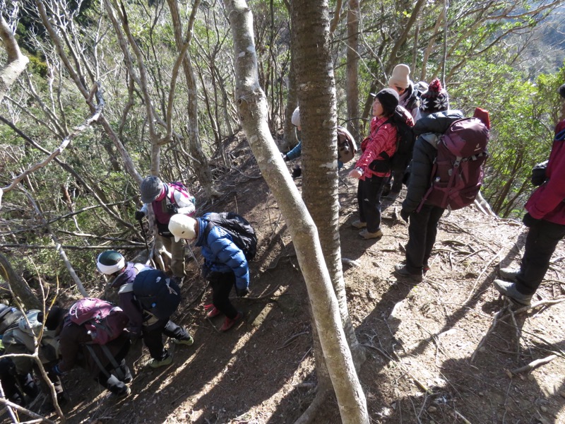 高宕山、高宕山→奥畑バス停、山頂直下