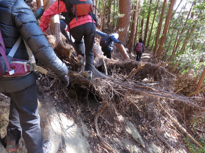 高宕山、高宕山→奥畑バス停、崩落、倒木