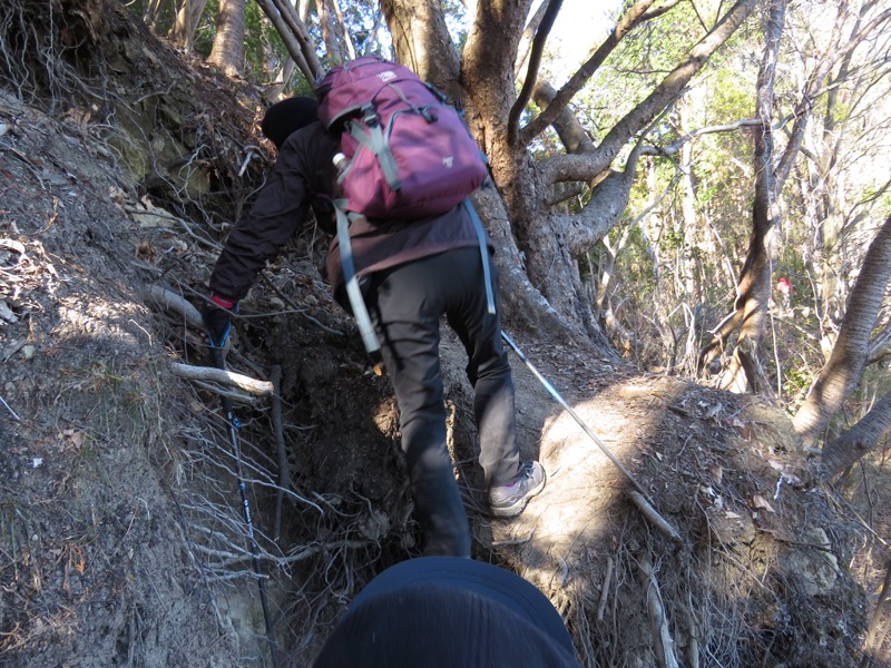 高宕山、高宕山→奥畑バス停