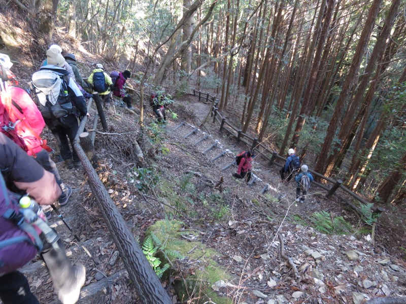 高宕山、ふれあいの道分岐（八良塚コース終点）→奥畑バス停