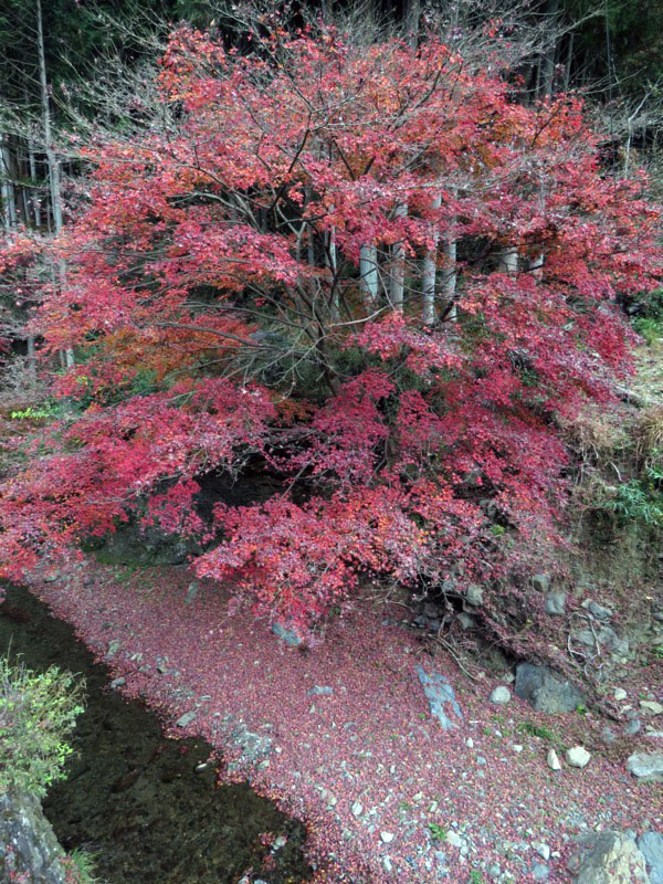 高水三山