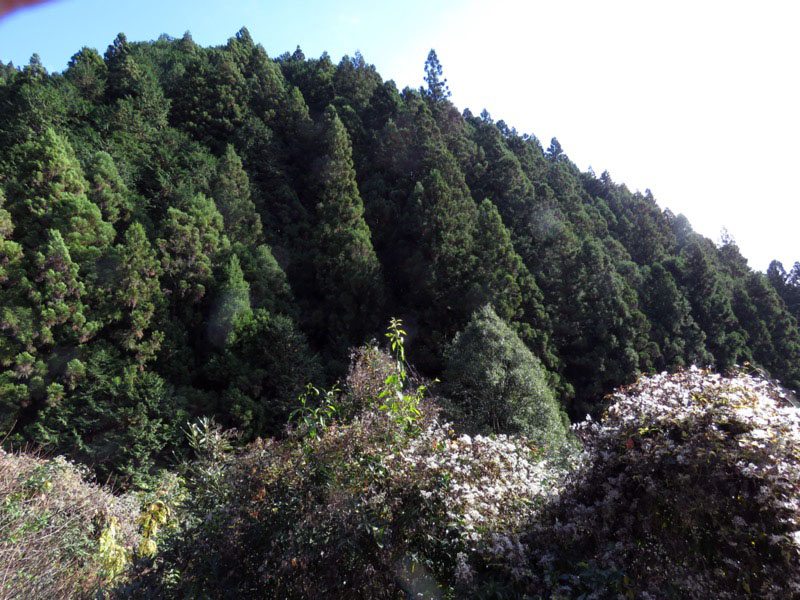 高水三山