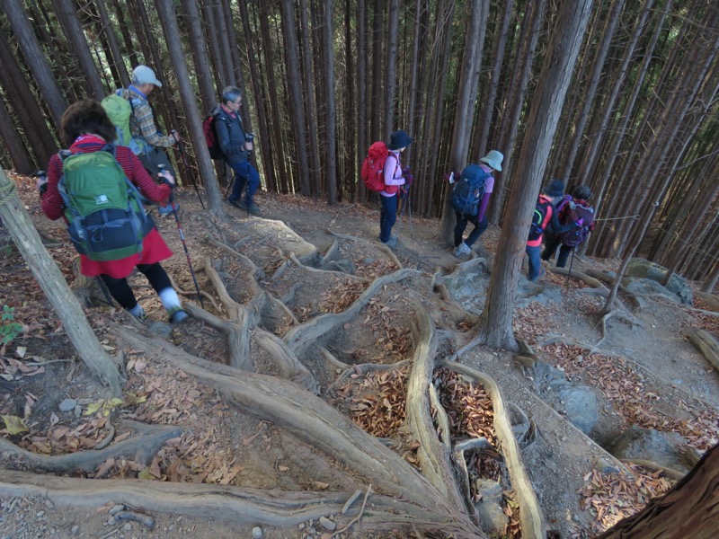 高水三山