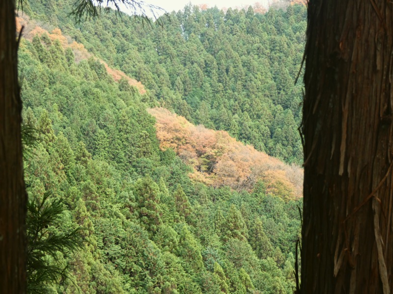 高水三山