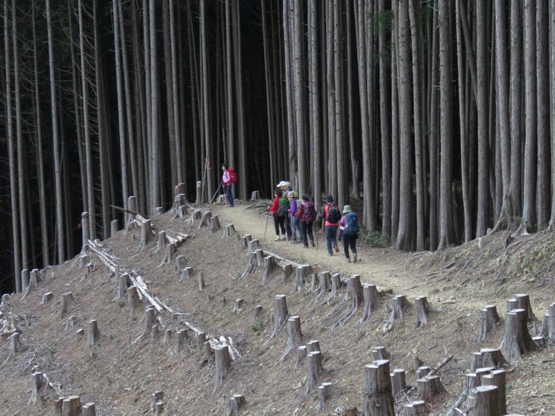 高水三山