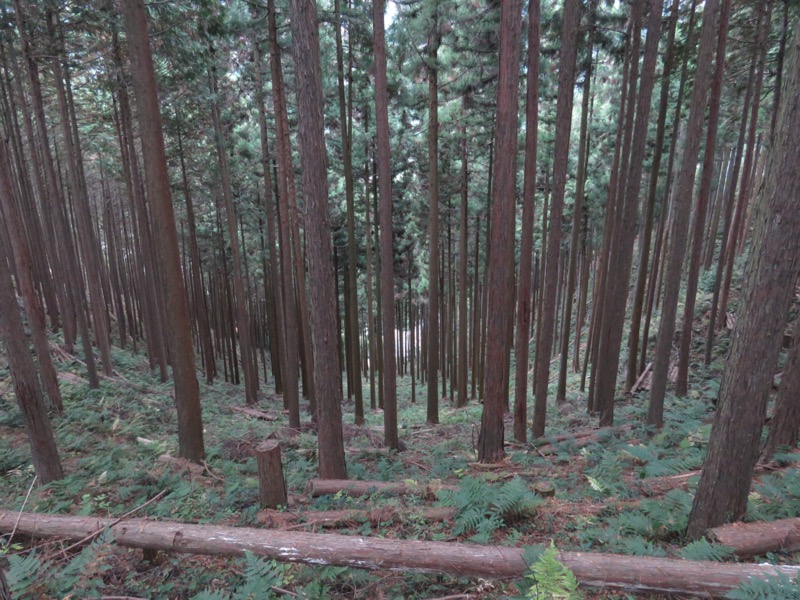 高水三山