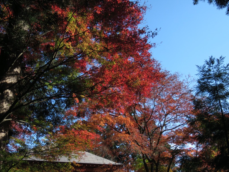 高水三山