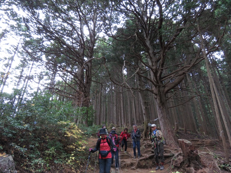 高水三山