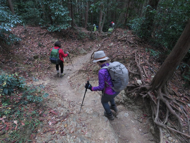 高水三山