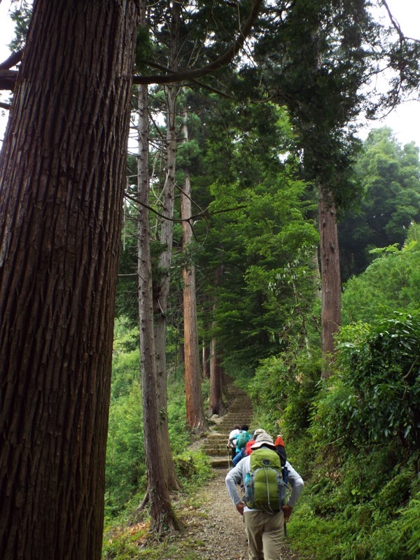 戸倉三山、今熊神社、参道