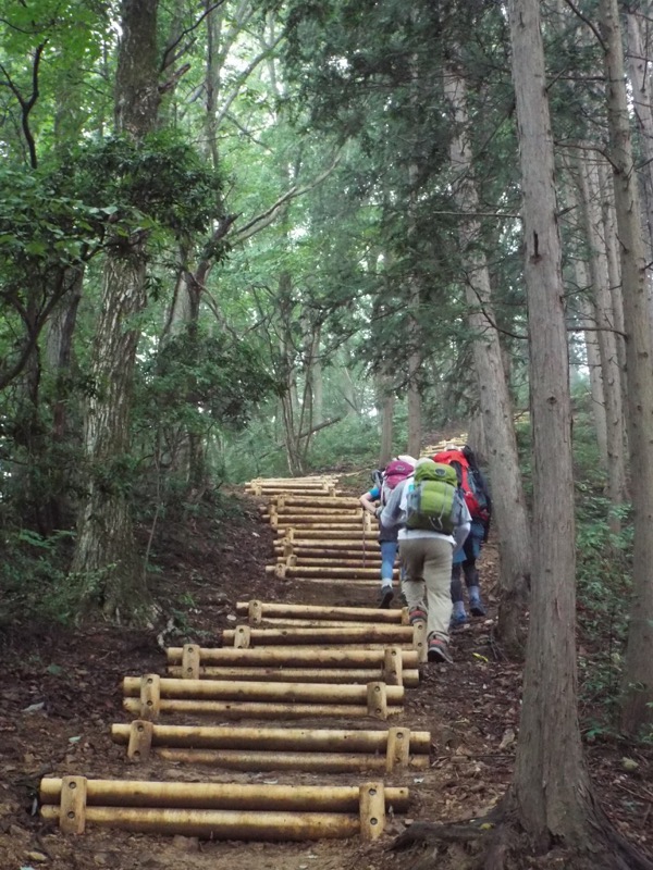 戸倉三山、登山道