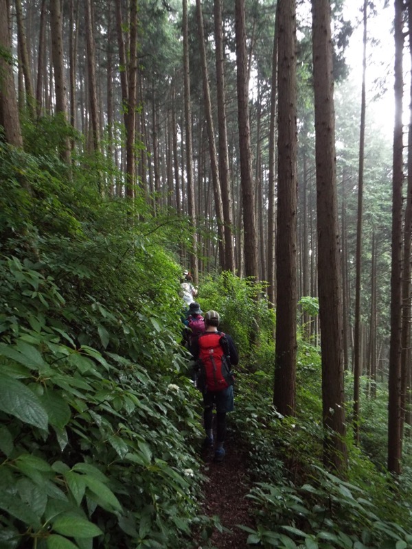 戸倉三山、登山道