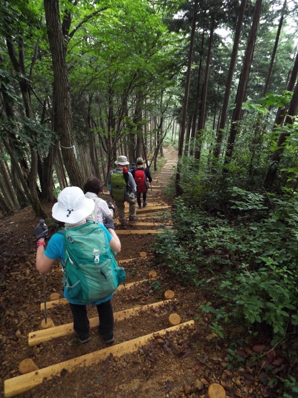 戸倉三山、登山道