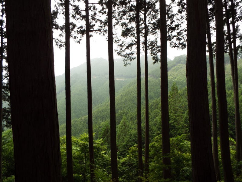 戸倉三山、刈寄山