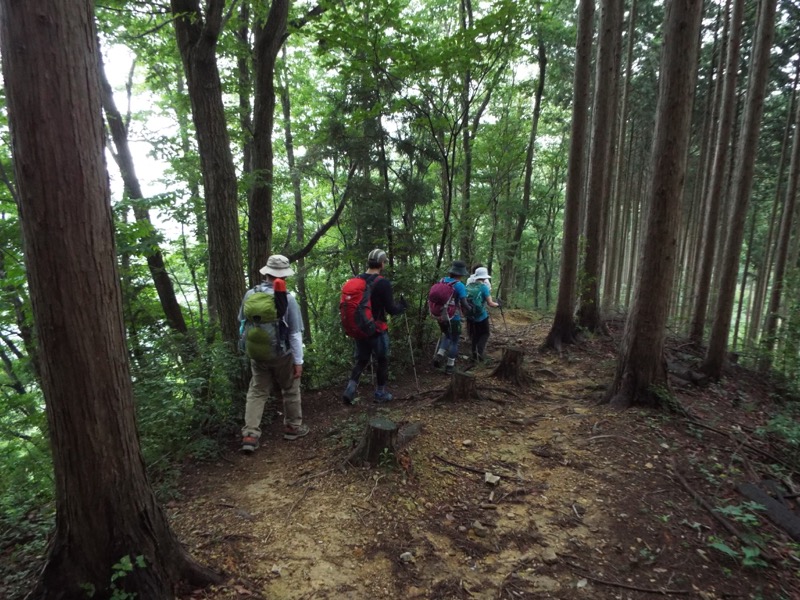 戸倉三山、登山道