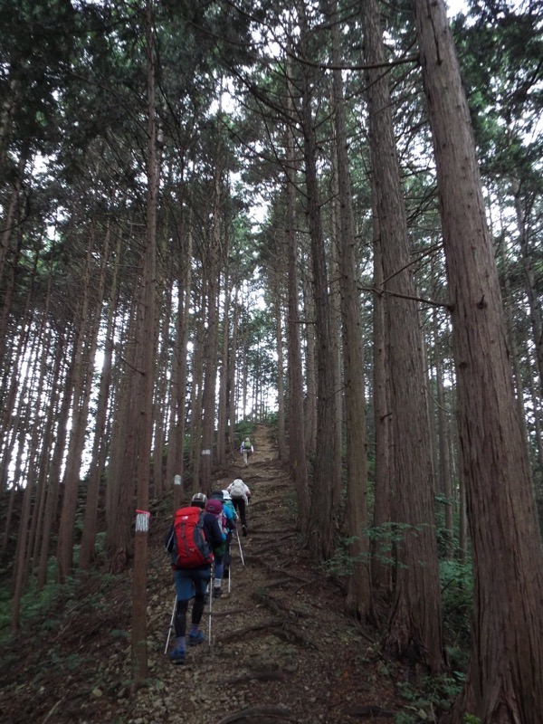 戸倉三山、登山道