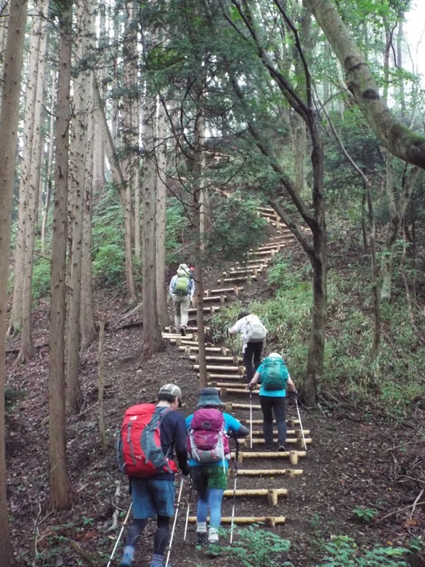 戸倉三山、登山道