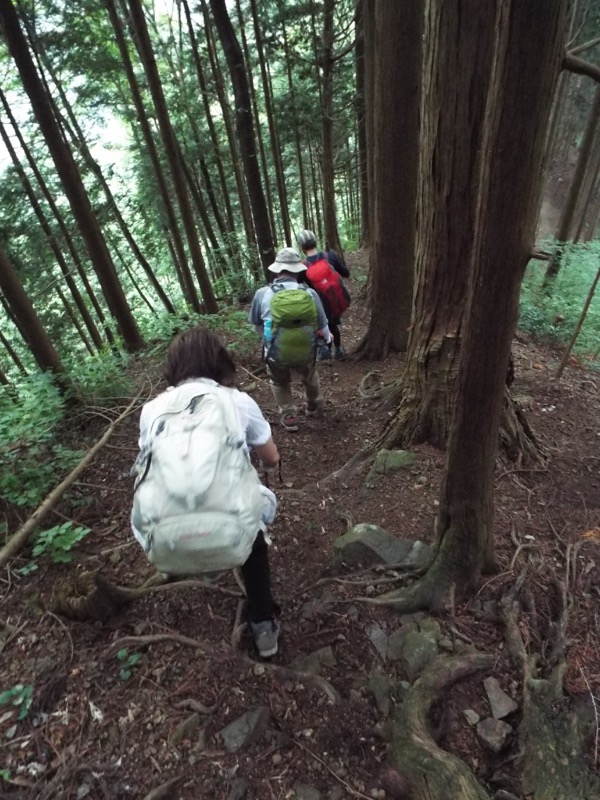 戸倉三山、登山道