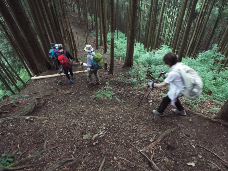 戸倉三山、登山道