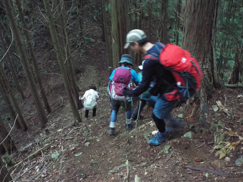 戸倉三山、登山道