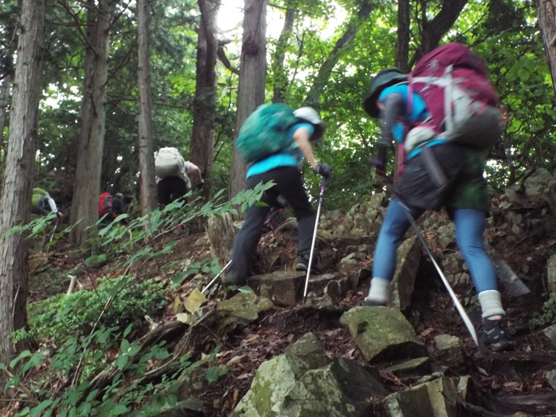 戸倉三山、登山道