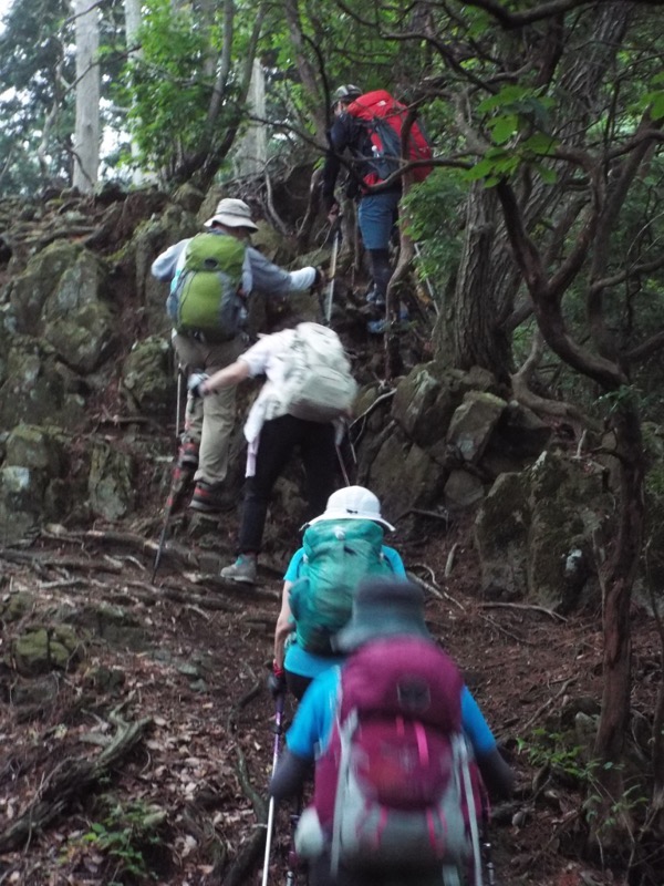 戸倉三山、登山道