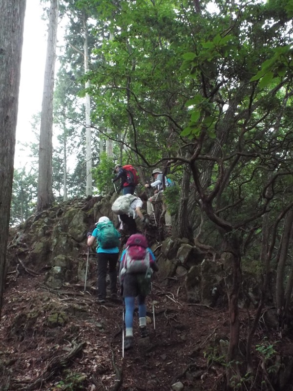 戸倉三山、登山道