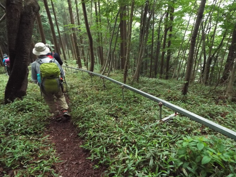 戸倉三山、登山道、モノレール