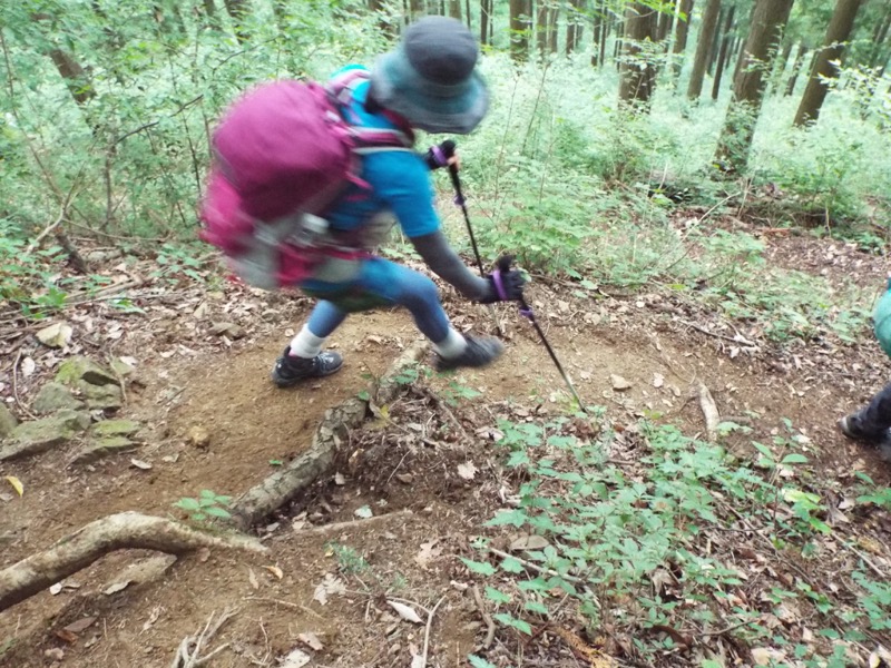 戸倉三山、登山道