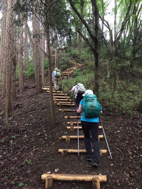 戸倉三山、登山道