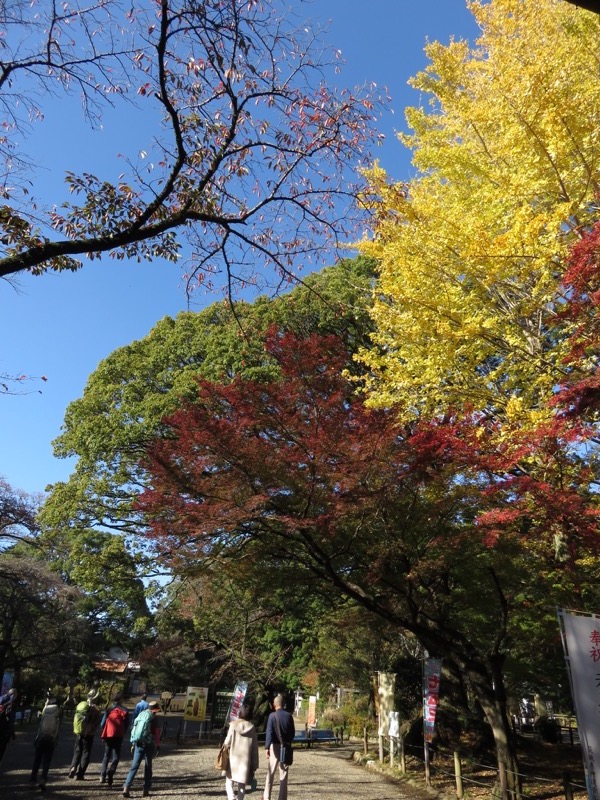 奥久慈・男体山から袋田の滝、水戸偕楽園、常磐神社