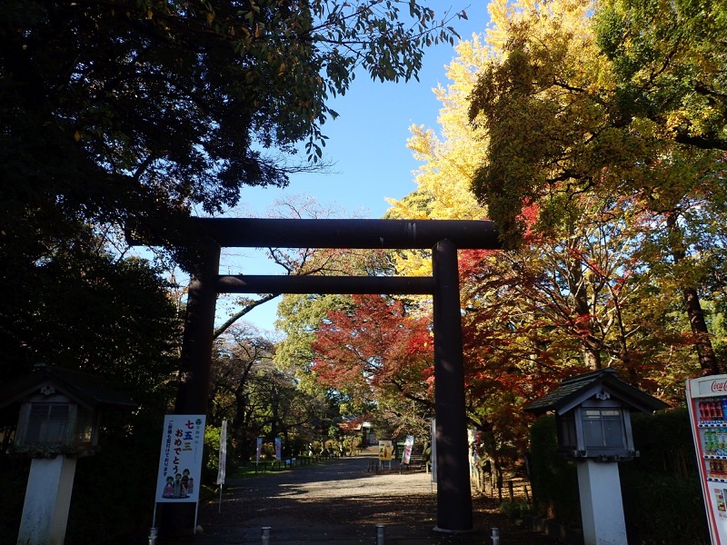 奥久慈・男体山から袋田の滝、水戸偕楽園、常磐神社