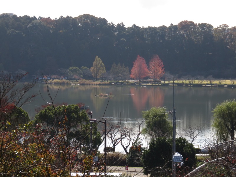 奥久慈・男体山から袋田の滝、水戸偕楽園、水戸偕楽園、千波湖