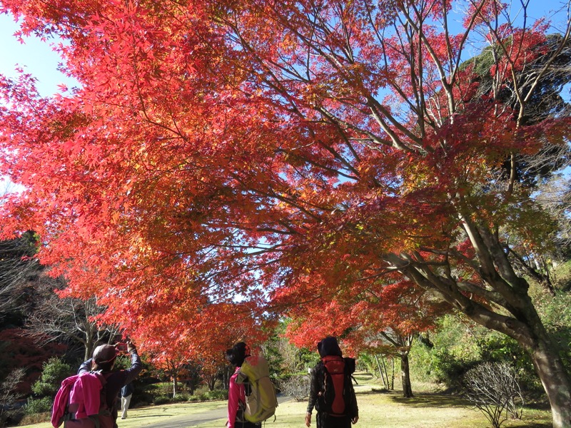 奥久慈・男体山から袋田の滝、水戸偕楽園、もみじ谷