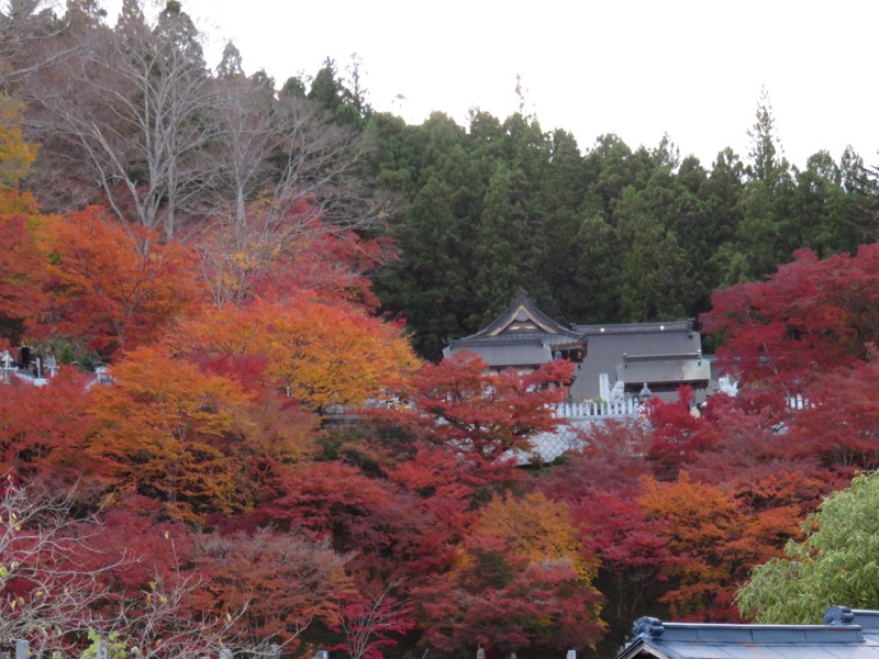 奥久慈・男体山から袋田の滝、常陸大子、もみじ寺