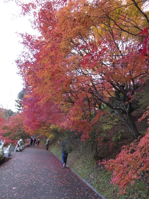 奥久慈・男体山から袋田の滝、常陸大子、もみじ寺、永源寺