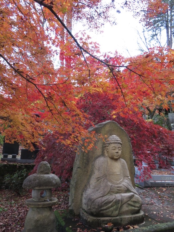 奥久慈・男体山から袋田の滝、常陸大子、もみじ寺、永源寺