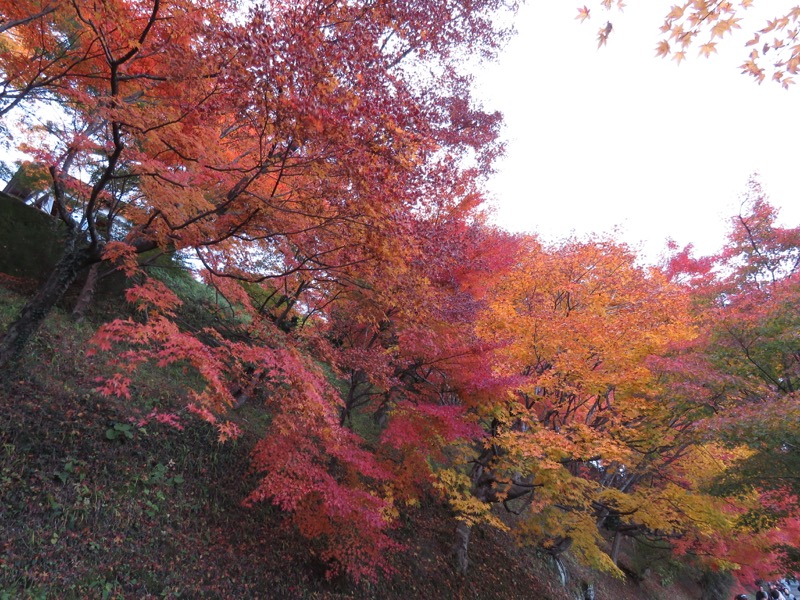 奥久慈・男体山から袋田の滝、常陸大子、もみじ寺、永源寺