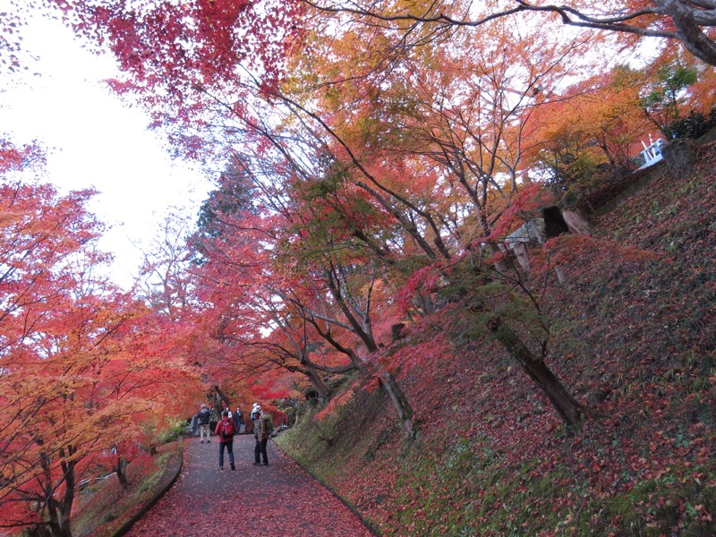 奥久慈・男体山から袋田の滝、常陸大子、もみじ寺、永源寺