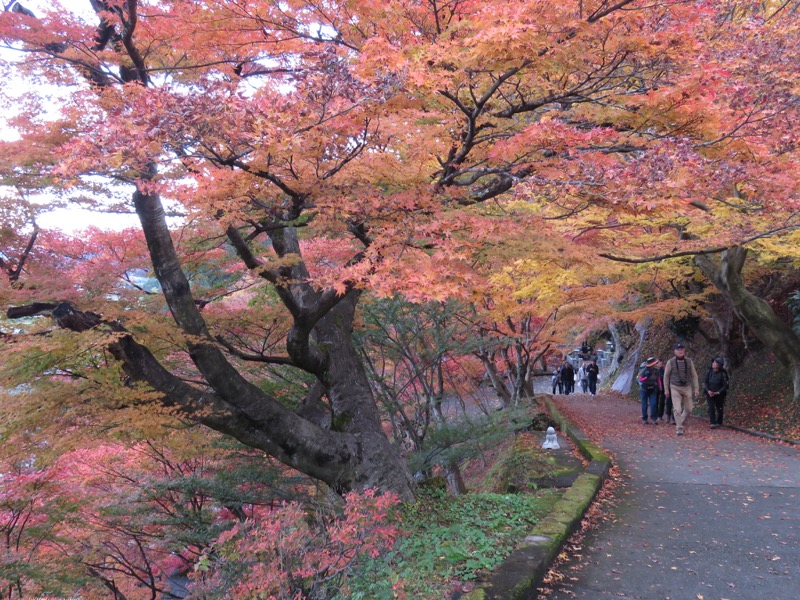 奥久慈・男体山から袋田の滝、常陸大子、もみじ寺、永源寺