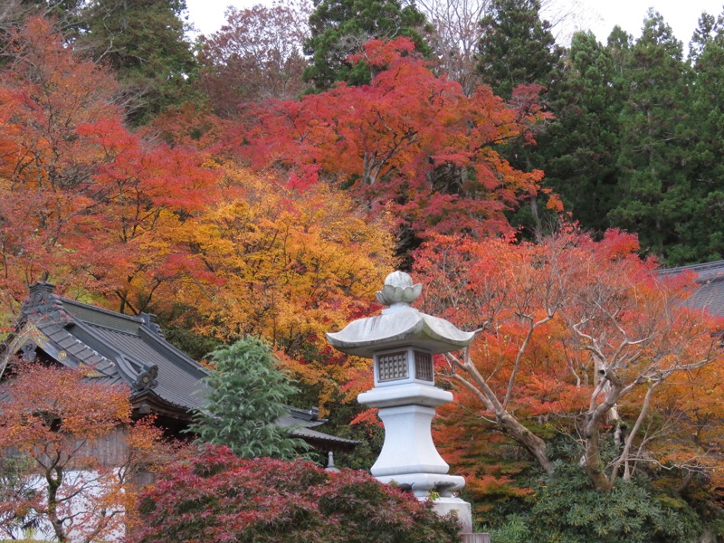 奥久慈・男体山から袋田の滝、常陸大子、もみじ寺、永源寺